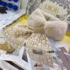DIOR Scarves 215