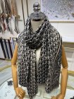 DIOR Scarves 51