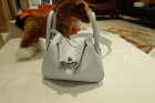 Hermes Original Quality Handbags 860