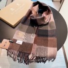 Burberry Scarves 249