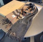 Burberry Scarves 45