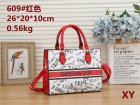 DIOR Normal Quality Handbags 192