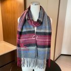 Burberry Scarves 250