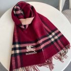 Burberry Scarves 27