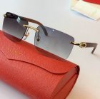Cartier High Quality Sunglasses 1038