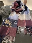 Burberry Scarves 216