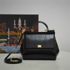 Dolce & Gabbana Original Quality Handbags 418