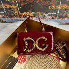 Dolce & Gabbana Original Quality Handbags 53
