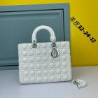 DIOR High Quality Handbags 533