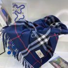 Burberry Scarves 464