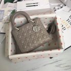 DIOR High Quality Handbags 892