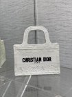 DIOR High Quality Handbags 57