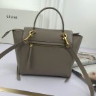 CELINE High Quality Handbags 326
