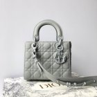 DIOR High Quality Handbags 25