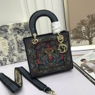 DIOR High Quality Handbags 859