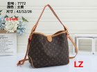 Louis Vuitton Normal Quality Handbags 568