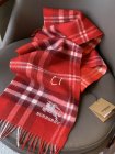 Burberry Scarves 18