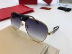 Cartier High Quality Sunglasses 776