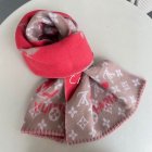 Louis Vuitton Scarves 45