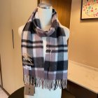Burberry Scarves 128
