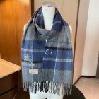 Burberry Scarves 251