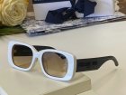 DIOR High Quality Sunglasses 348