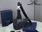 DIOR Original Quality Handbags 176