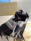 Burberry Scarves 191