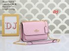 Coach Normal Quality Handbags 305