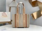 Chloe Original Quality Handbags 43