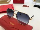 Cartier High Quality Sunglasses 392