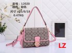 Coach Normal Quality Handbags 166