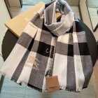 Burberry Scarves 326