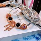 Pandora Jewelry 2421