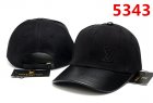 Louis Vuitton Normal Quality Hats 77
