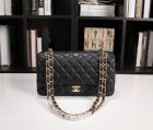 Chanel High Quality Handbags 669