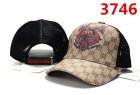 Gucci Normal Quality Hats 16