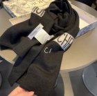 DIOR Scarves 33