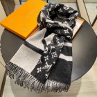 Louis Vuitton Scarves 77