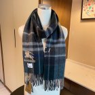 Burberry Scarves 139