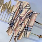 Burberry Scarves 471