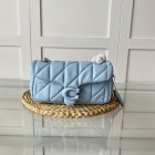 Coach High Quality Handbags 161