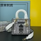 DIOR High Quality Handbags 565