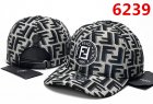 Fendi Hats 11