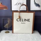 CELINE Original Quality Handbags 458