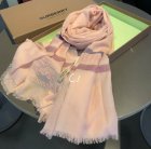 Burberry Scarves 321