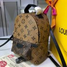 Louis Vuitton Backpack 61