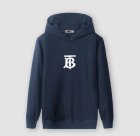 Burberry Men's Hoodies 38
