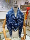 Louis Vuitton Scarves 226