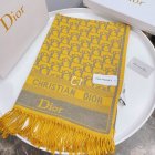 DIOR Scarves 173